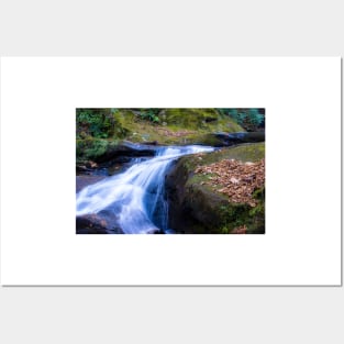 Roaring Fork Creek Falls Posters and Art